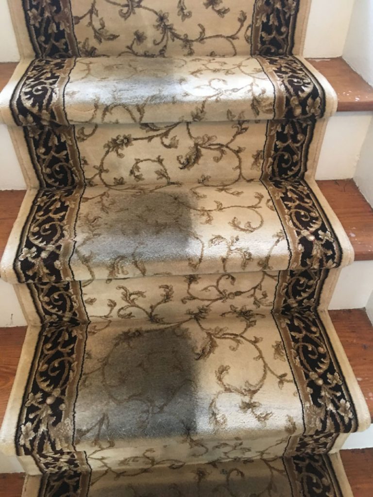 carpet cleaning