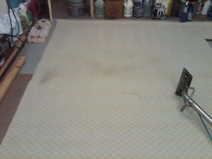 rug cleaning in our shop