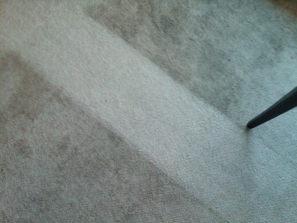 carpet strip cleaned