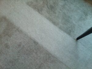 carpet strip cleaned