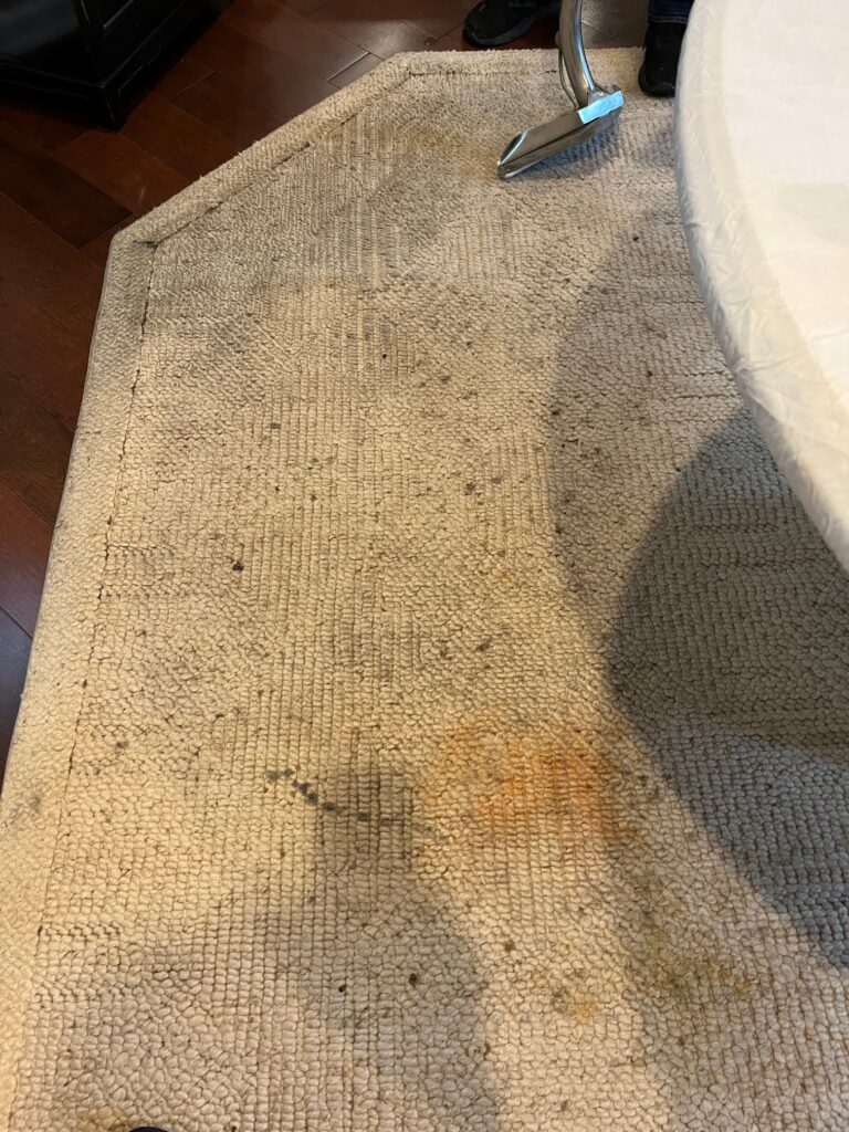 rug cleaning before photo
