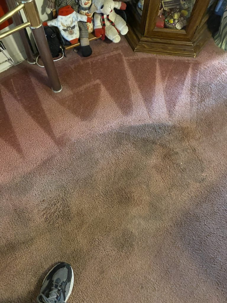 before photo of stain in home prior to professionally carpet cleaning to remove the stain