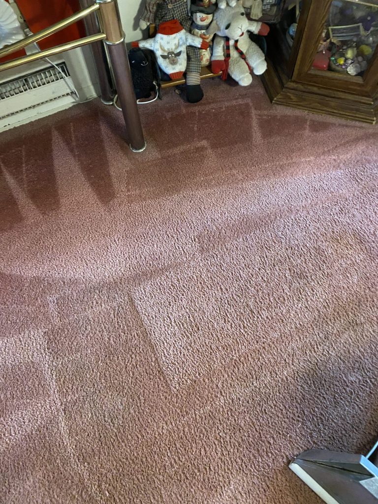 after photo of a stain removal on a pink residential carpet from professional carpet cleaning
